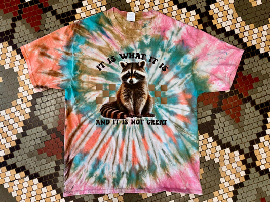 Pre-Order It Is What It Is T-shirt Dicey Dyes